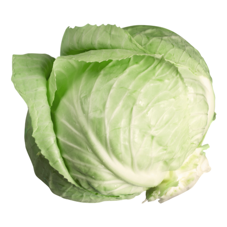 Cabbage - Green - Half