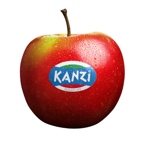 Apples - Kanzi - Each