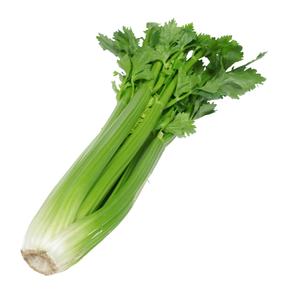 Celery - Bunch