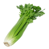 Celery - Bunch