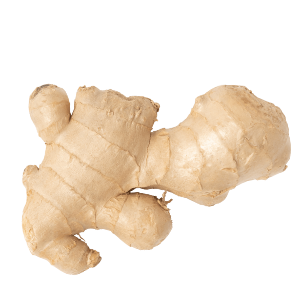 Ginger