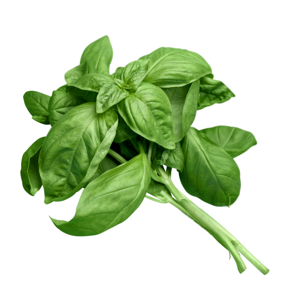 Herb - Basil - Bunch