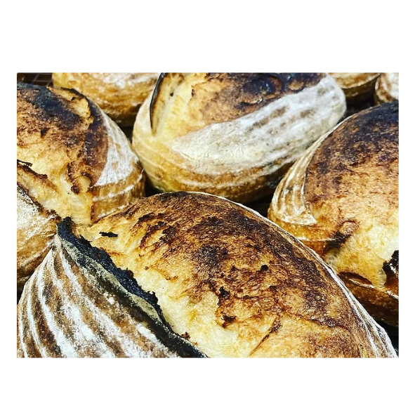 Olive & Herb Sourdough - Signature Sourdough
