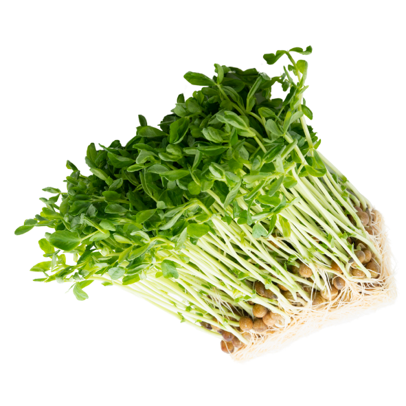 Snow Pea Shoots - Punnet - 100g