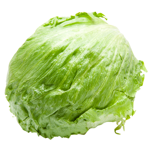 Lettuce - Iceberg - Each