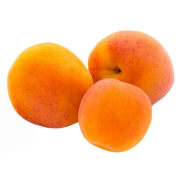 Apricots - Each
