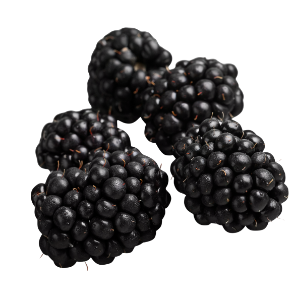 Blackberries - Punnet