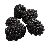 Blackberries - Punnet