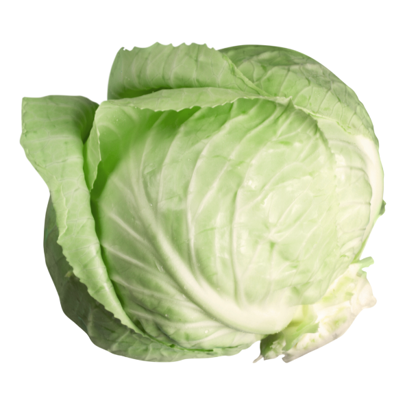 Cabbage - Green - Quarter