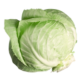 Cabbage - Green - Quarter