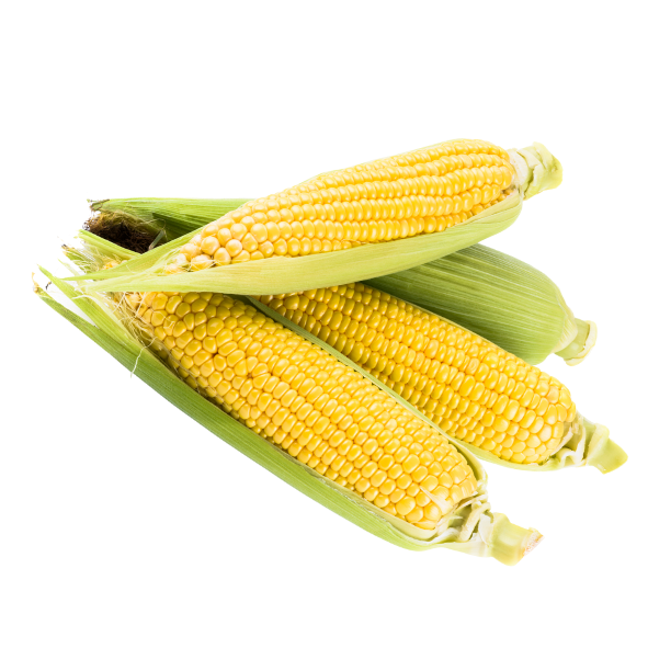 Corn - Sweet - Each