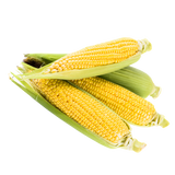 Corn - Sweet - Each