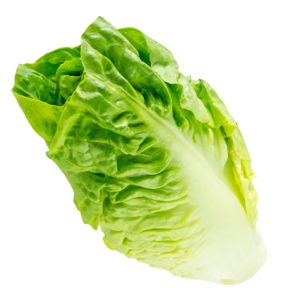 Lettuce - Cos - Each