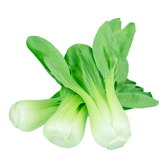 Bok Choy - Bunch – Mitchell's Fruit & Veg