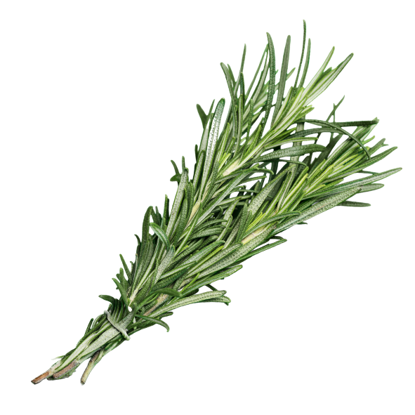 Herb - Rosemary - Bunch