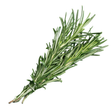 Herb - Rosemary - Bunch