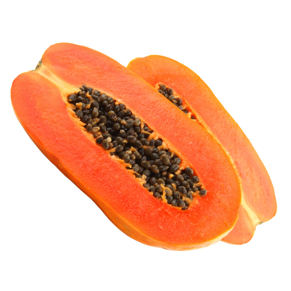 Paw Paw - Red - Each