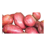 Potatoes - Red Desiree Chats Washed (Small) - 1kg