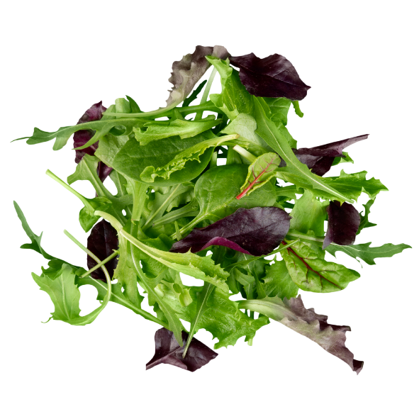 Lettuce - Mesculin Mix - Bag - 500g