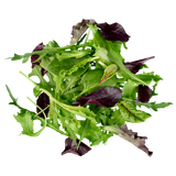 Lettuce - Salad Mix Gourmet - Punnet - 100g