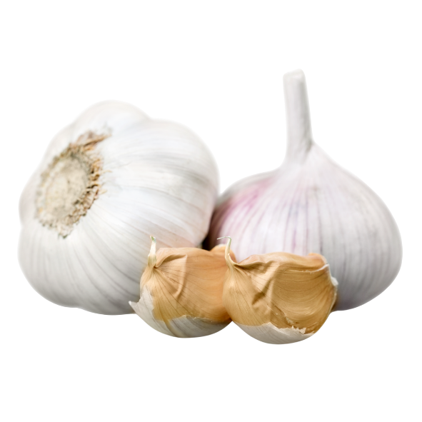 Garlic - Bulb- Each