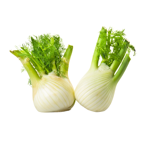 Fennel - Bulbs - Each