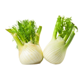 Fennel - Bulbs - Each
