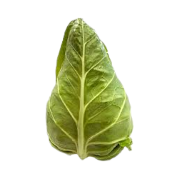 Cabbage - Sugarloaf - Each