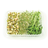 Sprouts - 3 In 1 Combo
