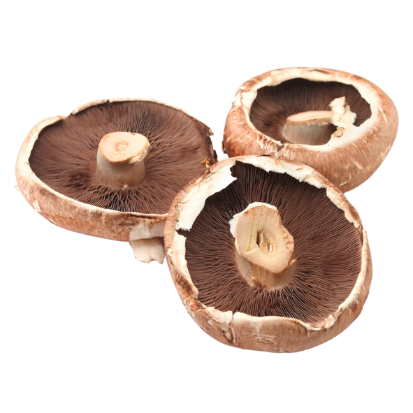 Mushrooms - Field / Flat - Each