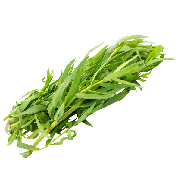 Herb - Tarragon - Bunch