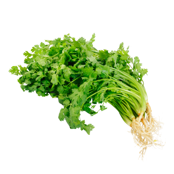 Herb - Coriander - Bunch