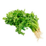 Herb - Coriander - Bunch