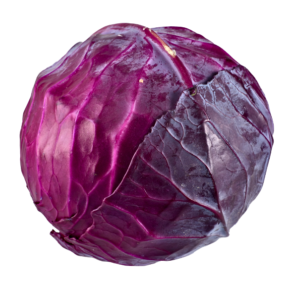 Cabbage - Red - Whole