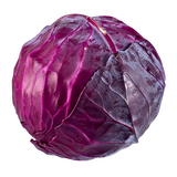 Cabbage - Red - Whole