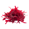 Processed Veg