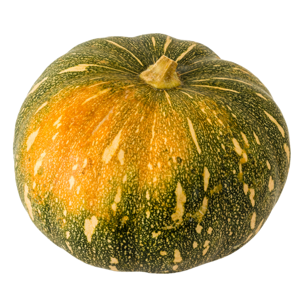 Pumpkin - Quarter - Each