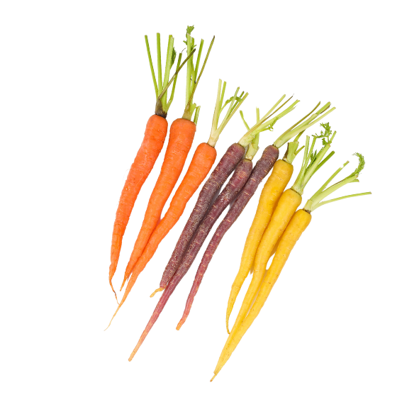 Carrots - Dutch Rainbow - Packet - 250g