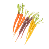 Carrots - Dutch Rainbow - Packet - 250g