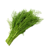 Herb - Dill - Bunch