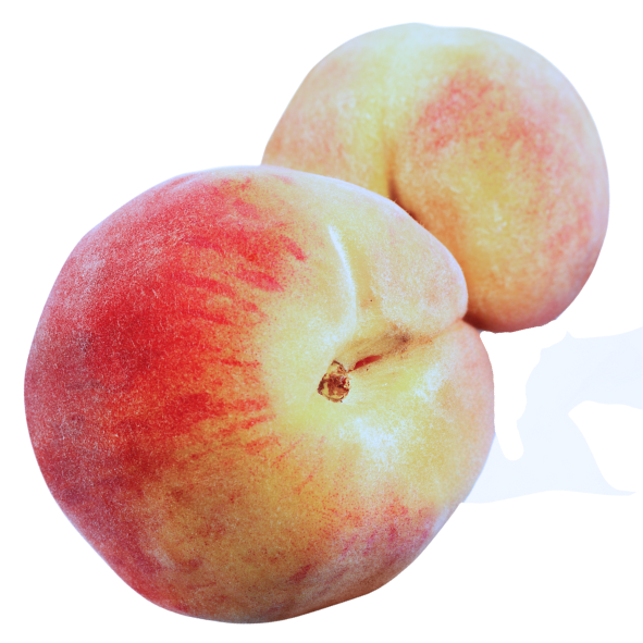 Peaches - White - Each