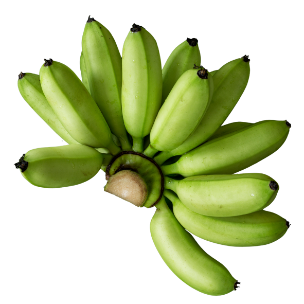 Bananas - Lady Finger - Each