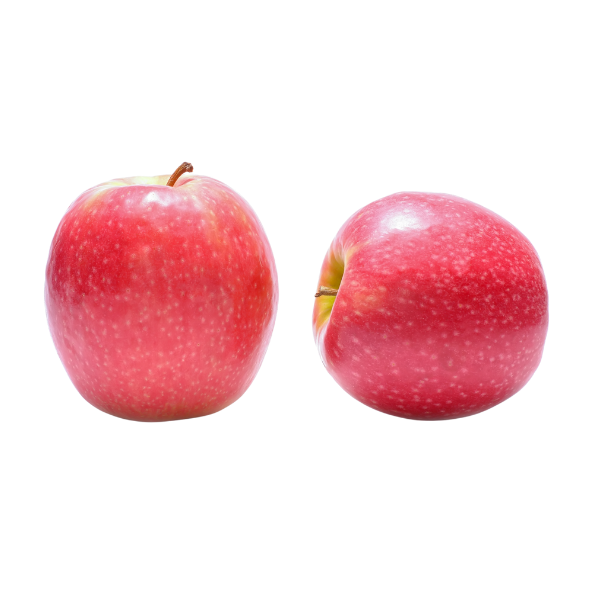 Apples - Pink Lady - Each