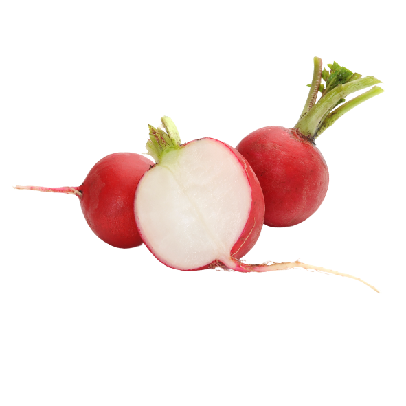 Radish - Packet