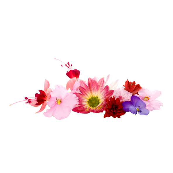 Herbs - Edible Flowers - Punnet