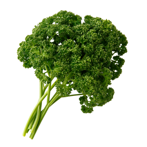 Herb - Parsley - Curly - Bunch