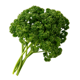 Herb - Parsley - Curly - Bunch