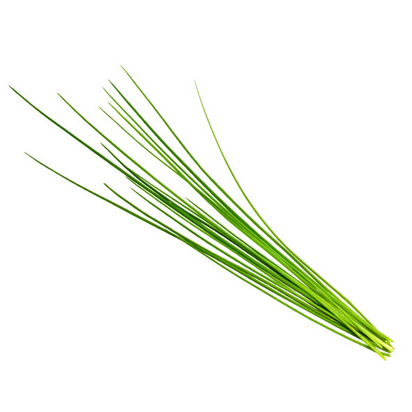 Herbs - Chives Onion - Bunch