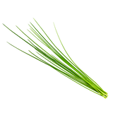 Herbs - Chives Onion - Bunch
