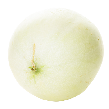 Melon - Honeydew - Each